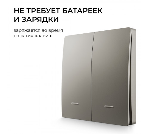 Выключатель кинетический 2кл., IP44, 2,4 ГГц, Smart, сер. Apeyron 04-79