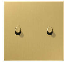 Центральная плата, 1 пост, 2 тумблера,цилиндр; металлическое исполнение; латунь классик; серия LS Jung ME12-5CR25