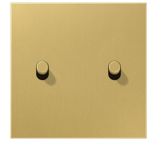 Центральная плата, 1 пост, 2 тумблера,цилиндр; металлическое исполнение; латунь классик; серия LS Jung ME12-5CR25