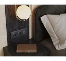 Комплект механизма 2-клавишного перекрестного выключателя Ambrella Volt 10A-250V OMEGA MO903030 Графит soft touch QUANT (OP9030, VM125)