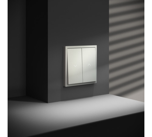 Выключатель встраиваемый Voltum S70 для жалюзи 10А, (сталь) VLS020705