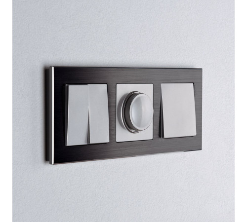 Выключатель двухклавишный Werkel W1120006 4690389164828 a050887