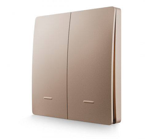 Выключатель кинетический 2кл., IP44, 2,4 ГГц, Smart, беж. Apeyron 04-76