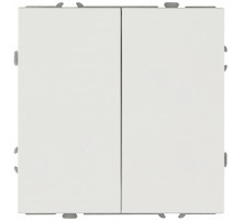 Переключатель ЭРА Galaxy 15-1106-01 двойной 10АХ-250В IP20 белый Б0070692