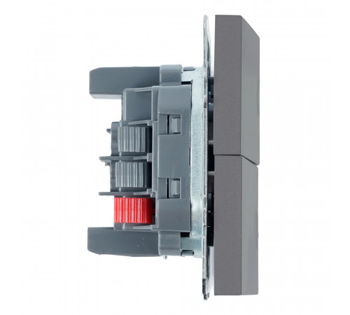 Переключатель 2-клавишный (механизм) СЗК Stekker Эмили 250В 10А RSW10-5107-10ZK платиново-серый soft touch 50241