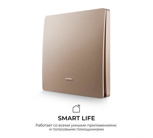Выключатель кинетический 1кл., IP44, 2,4 ГГц, Smart, беж. Apeyron 04-75