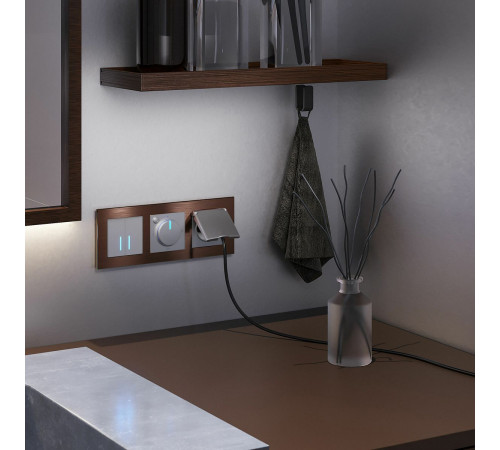 Сенсорный выключатель двухклавишный с подсветкой Werkel 4690389179563 W4520006