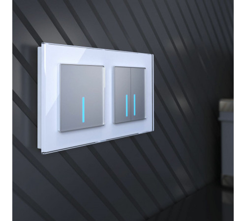 Сенсорный выключатель двухклавишный с подсветкой Werkel 4690389179563 W4520006
