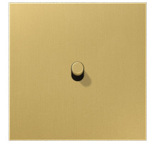 Центральная плата, 1 пост, 1 тумблер, цилиндр; металлическое исполнение; латунь классик; серия LS Jung ME12-0CR25