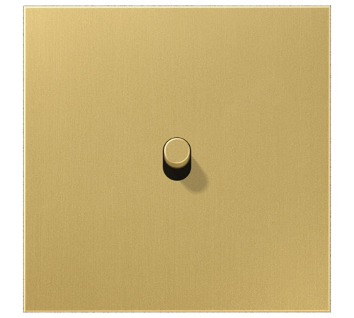 Центральная плата, 1 пост, 1 тумблер, цилиндр; металлическое исполнение; латунь классик; серия LS Jung ME12-0CR25