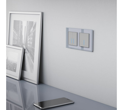 Сенсорный выключатель двухклавишный с подсветкой Werkel 4690389179563 W4520006