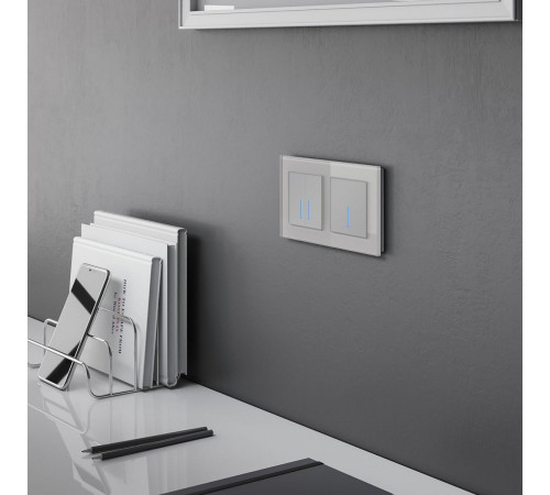 Сенсорный выключатель двухклавишный с подсветкой Werkel 4690389179563 W4520006