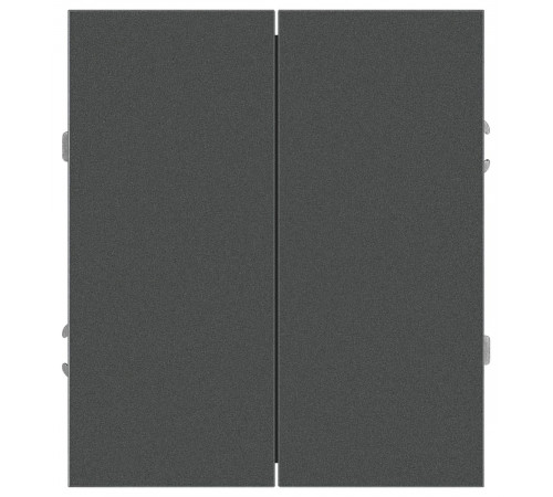 Переключатель Эра Arktik 16-1106-06 двойной 10АХ-250В графит Б0070369