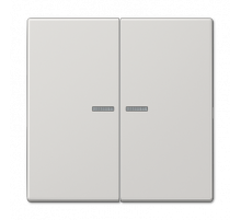 Клавиша 2-ная с 2-мя линзами Jung LS990 LS995KO5LG