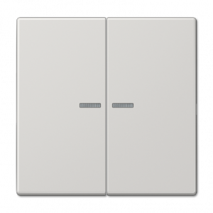 Клавиша 2-ная с 2-мя линзами Jung LS990 LS995KO5LG