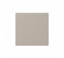 Выключатель одноклавишный 10A 250V с накладкой, цвет Сахара Jasmart FD3011SH