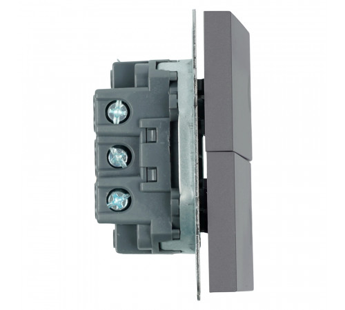 Выключатель двухклавишный Stekker Эмили RSW10-5116-10 платиново-серый soft touch 50823