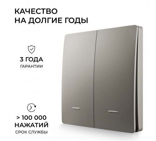 Выключатель кинетический 2кл., IP44, 2,4 ГГц, Smart, сер. Apeyron 04-79