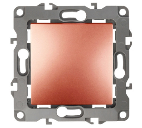 Выключатель Эра 12-1001-14 10АХ-250В, IP20, без м.лапок