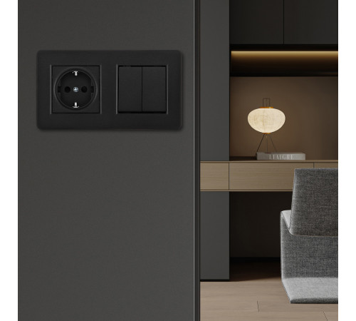 Выключатель двухклавишный с розеткой Arte Milano SET16-2-40-1-30-2 black Выключатель двухклавишный с розеткой Arte Milano SET16-2-40-1-30-2 black
