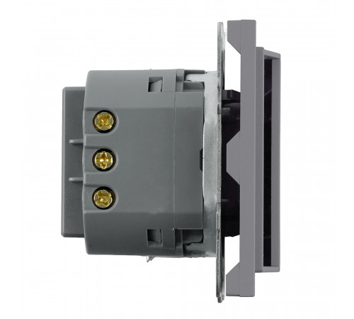 Выключатель карточный Stekker Эмили RSW40-5114-10 платиново-серый, soft touch 50699