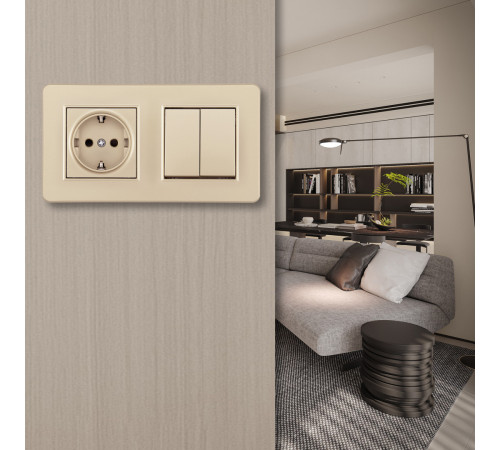 Выключатель двухклавишный с розеткой Arte Milano SET16-2-40-1-30-2 shampan