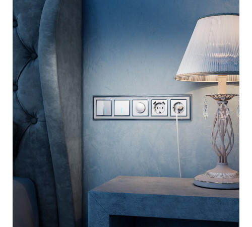 Выключатель одноклавишный с подсветкой Werkel (серебряный) W1110106 4690389164811 a050893