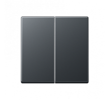 Клавиша 2-я Jung A595BFANM