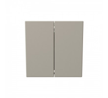 Выключатель двухклавишный 10A 250V с накладкой, цвет Сахара Jasmart FD3023SH