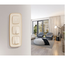 Комплект механизма 2-клавишного перекрестного выключателя Ambrella Volt 10A-250V OMEGA MO303030 Бежевый глянец QUANT (OP3030, VM125)