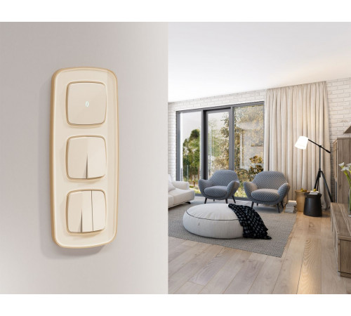 Комплект механизма 2-клавишного перекрестного выключателя Ambrella Volt 10A-250V OMEGA MO303030 Бежевый глянец QUANT (OP3030, VM125)