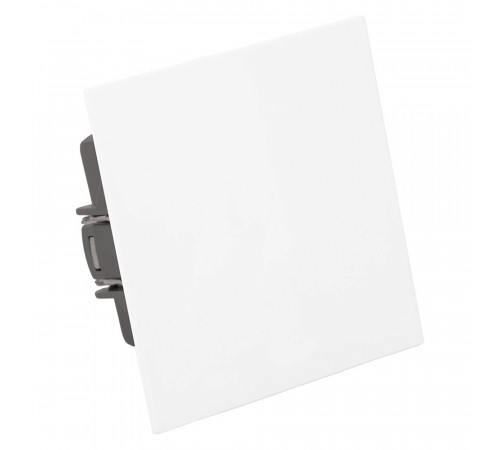 Переключатель 1-клавишный (механизм) Stekker Мия 250В 10A RSW10-3105-01 белая магнолия 50433