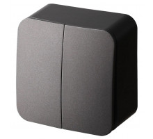 Выключатель 2-клавишный Jasmart FS FS3023B