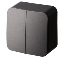 Выключатель 2-клавишный Jasmart FS FS3023B