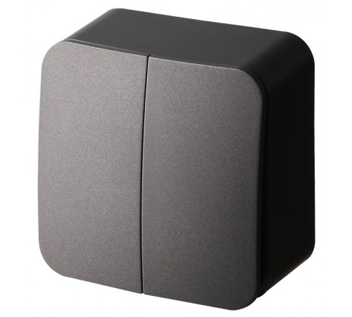 Выключатель 2-клавишный Jasmart FS FS3023B