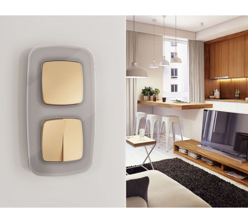 Комплект механизма 2-клавишного перекрестного выключателя Ambrella Volt 10A-250V OMEGA MO603030 Шампань QUANT (OP6030, VM125)