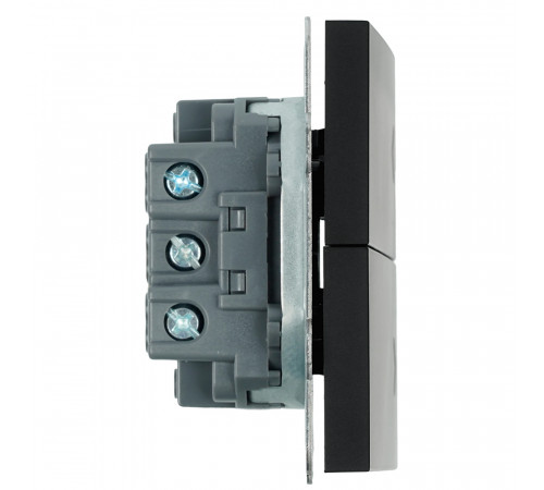 Выключатель двухклавишный Stekker Эмили RSW10-5116-05 черный уголь soft touch 50824