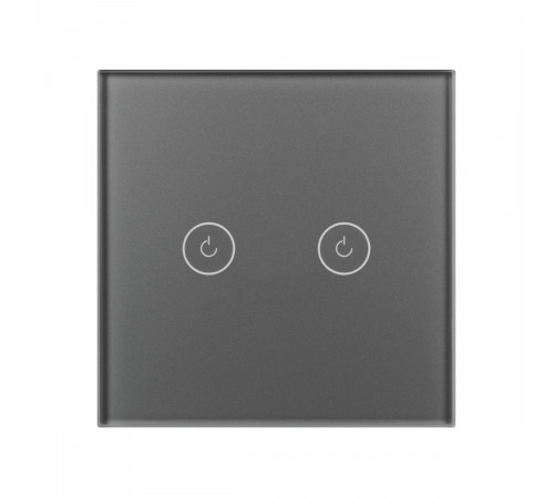 Выключатель сенсорный Arlight SWT-OMALI-S02-ZB-GR (250V, 10A, Zigbee) 050039 Выключатель сенсорный Arlight SWT-OMALI-S02-ZB-GR (250V, 10A, Zigbee) 050039