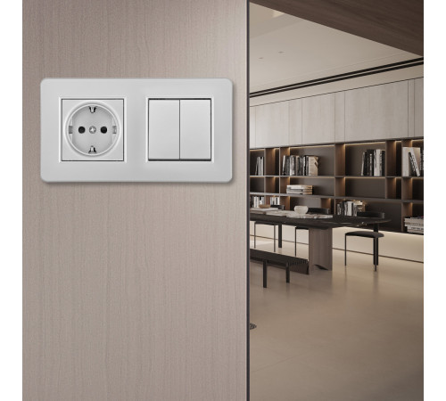 Выключатель двухклавишный с розеткой Arte Milano SET16-2-40-1-30-2 silver