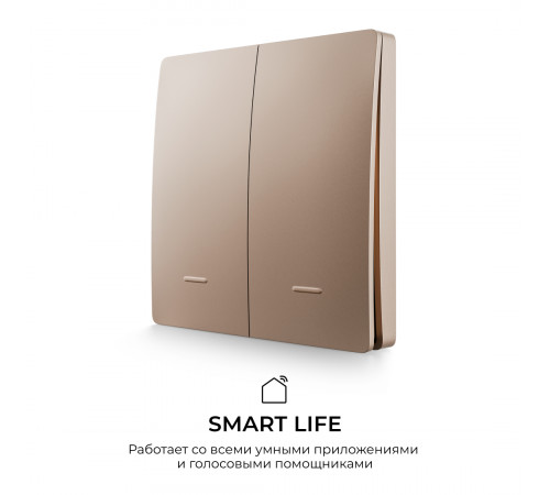 Выключатель кинетический 2кл., IP44, 2,4 ГГц, Smart, беж. Apeyron 04-76