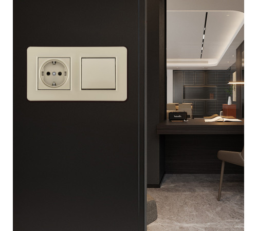 Выключатель одноклавишный с розеткой Arte Milano SET16-2-40-1-30-1 shampan