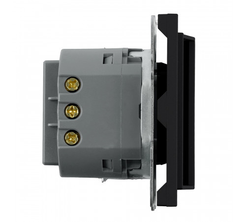 Выключатель карточный (механизм) Stekker Эмили 250В, 40А RSW40-5114-05 черный уголь soft touch 50700