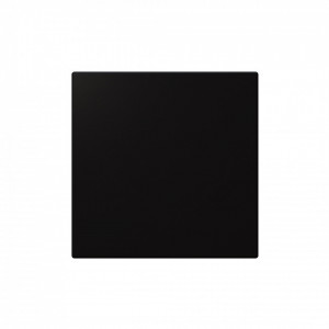 Выключатель одноклавишный 10A 250V с накладкой (soft touch) Jasmart FD3011PBM