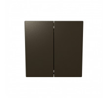 Выключатель двухклавишный 10A 250V с накладкой Jasmart FD3023BR