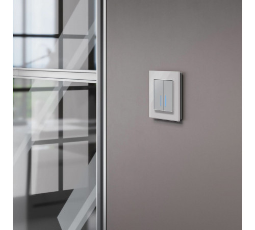 Сенсорный выключатель двухклавишный с подсветкой Werkel 4690389179563 W4520006