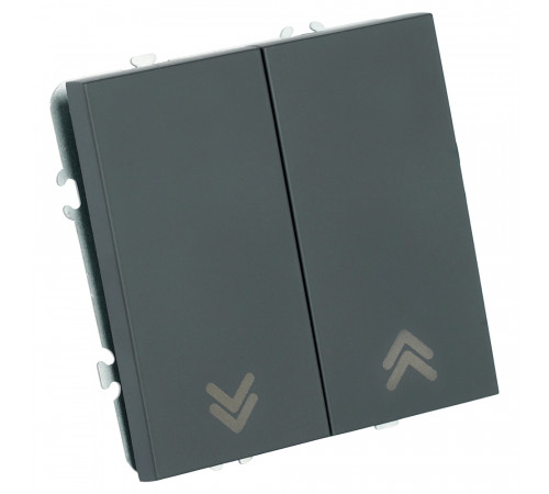 Выключатель двухклавишный Stekker Эмили RSW10-5116-05 черный уголь soft touch 50824