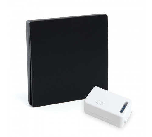 Выключатель одноклавишный беспроводной с радиочастотным контроллером Feron TM181 230V 500W 50507