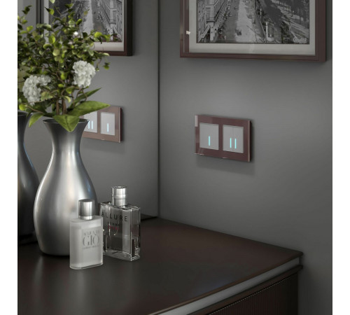 Сенсорный выключатель двухклавишный с подсветкой Werkel 4690389179563 W4520006