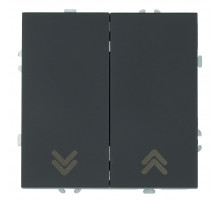 Выключатель двухклавишный Stekker Эмили RSW10-5116-05 черный уголь soft touch 50824