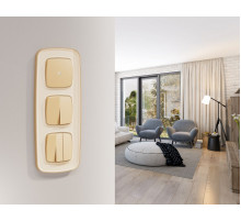 Комплект механизма 2-клавишного перекрестного выключателя Ambrella Volt 10A-250V OMEGA MO603030 Шампань QUANT (OP6030, VM125)